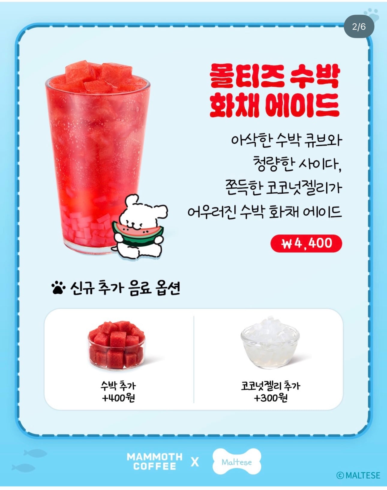 매머드커피 6/17 나온 신메뉴 | 인스티즈