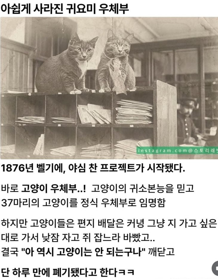 하루만에 폐기된 프로젝트 | 인스티즈