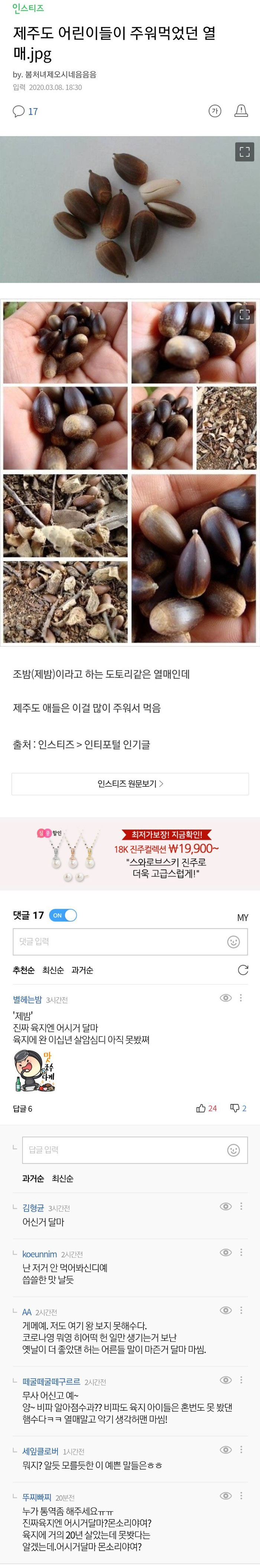 제주도 아이들이 주워 먹었던 열매 | 인스티즈