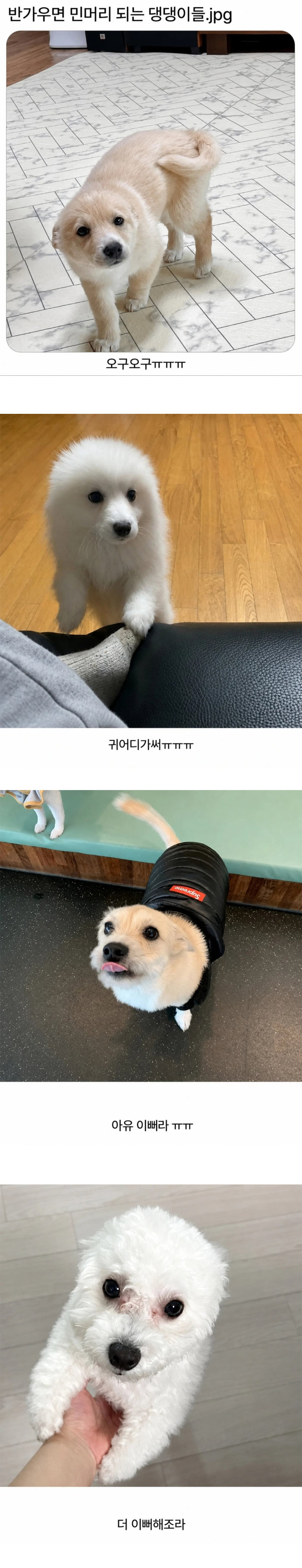 반갑다고 민머리~ | 인스티즈