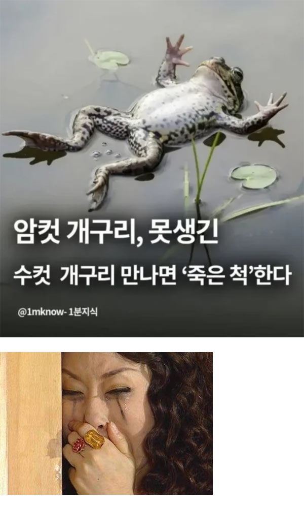 못생긴 수컷을 보면 죽은 척 | 인스티즈