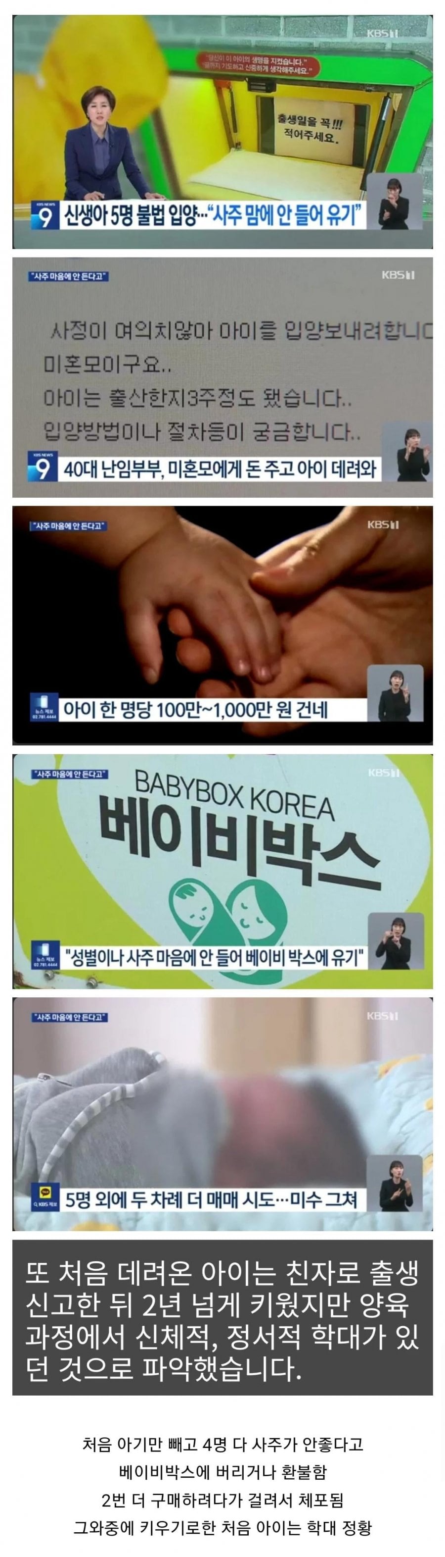 신생아 5명 구매 사주 안 좋아서 유기 | 인스티즈