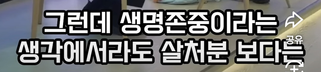 길고양이 살처분하던 전임시장과는 다르게 반려묘 입양으로 힘쓸거라는 김상욱 울산시장 | 인스티즈
