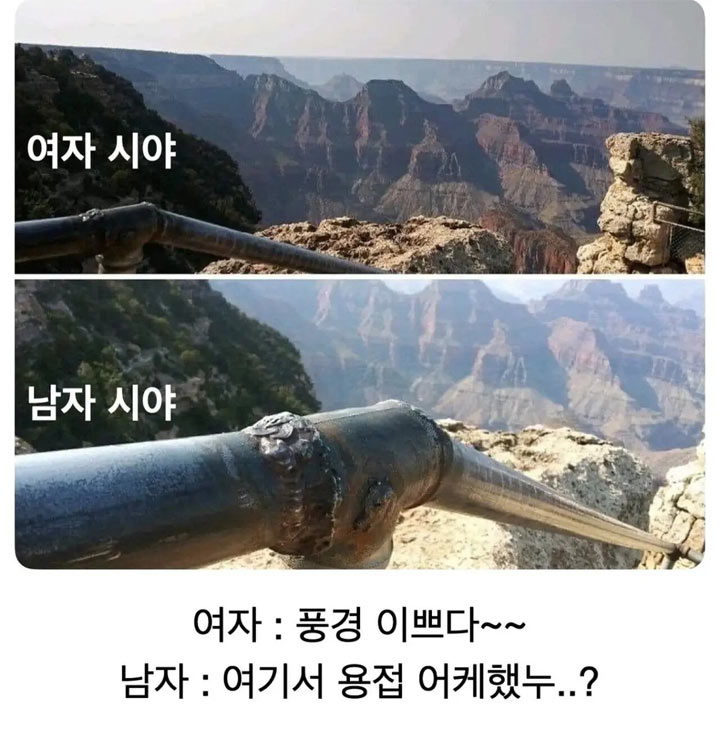 풍경을 보는 남녀 시선의 차이 | 인스티즈