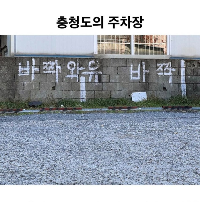 충청도식 주차장 | 인스티즈