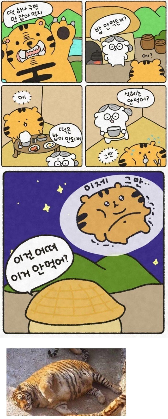 시골 할머니 특 | 인스티즈