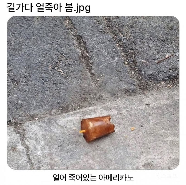 길가다 얼죽아 봄 | 인스티즈