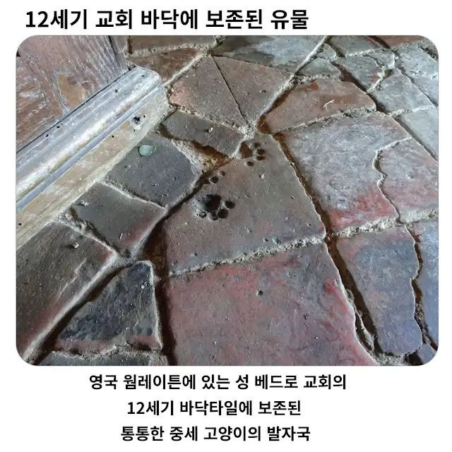 12세기 교회에서 발견된 유물 | 인스티즈