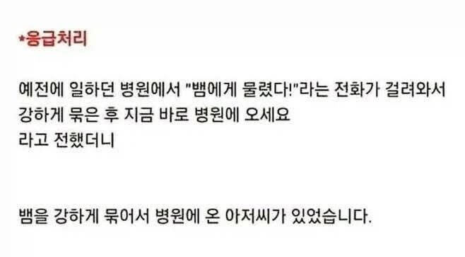 뱀에 물렸을때 응급처치 | 인스티즈