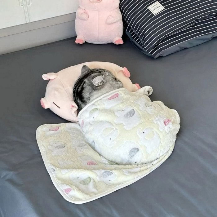 아기에게 물려받은 담요 | 인스티즈