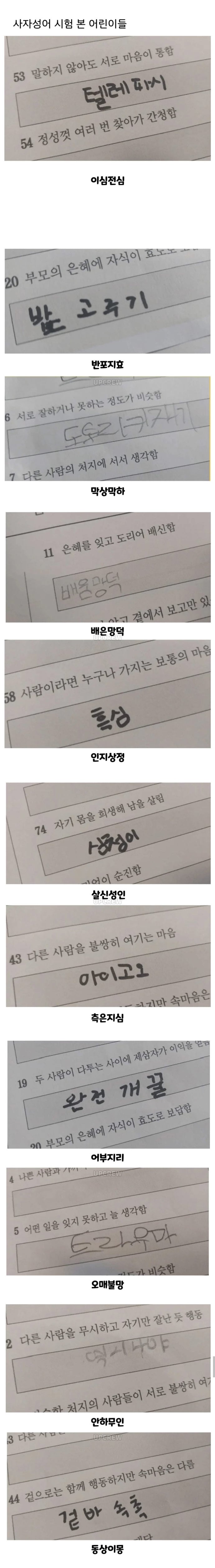 사자성어 시험 오답 | 인스티즈