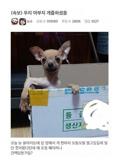 아부지가 개줍 | 인스티즈