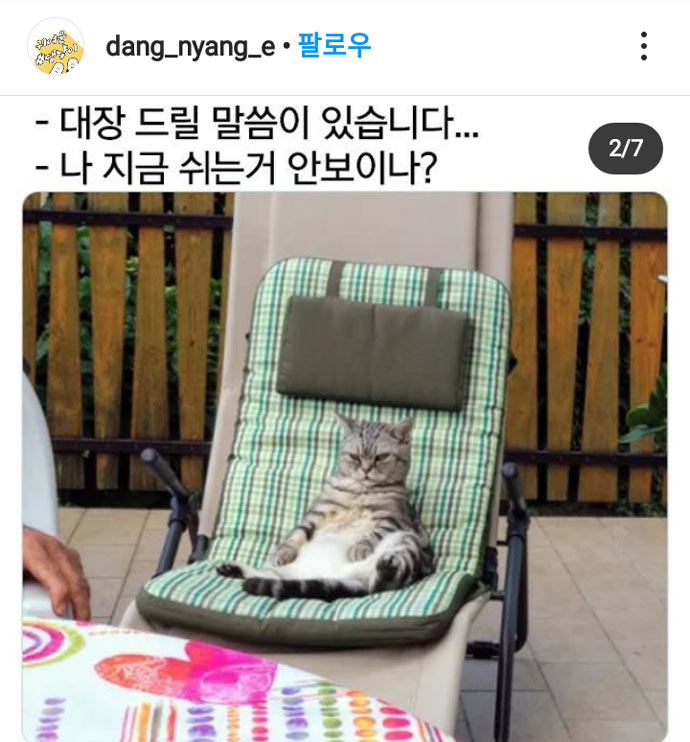 내가 대장이다 | 인스티즈