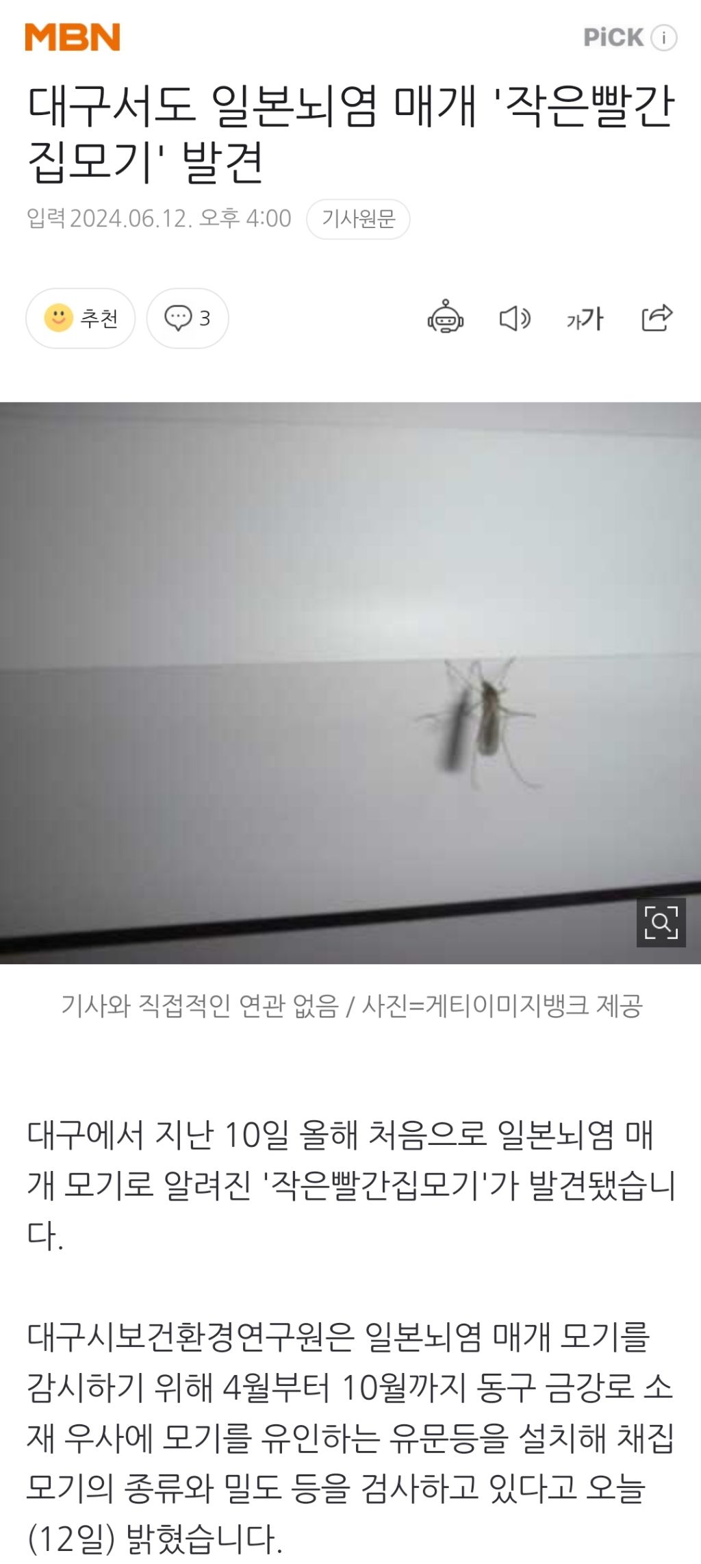 대구서도 일본뇌염 매개 '작은빨간집모기' 발견 | 인스티즈