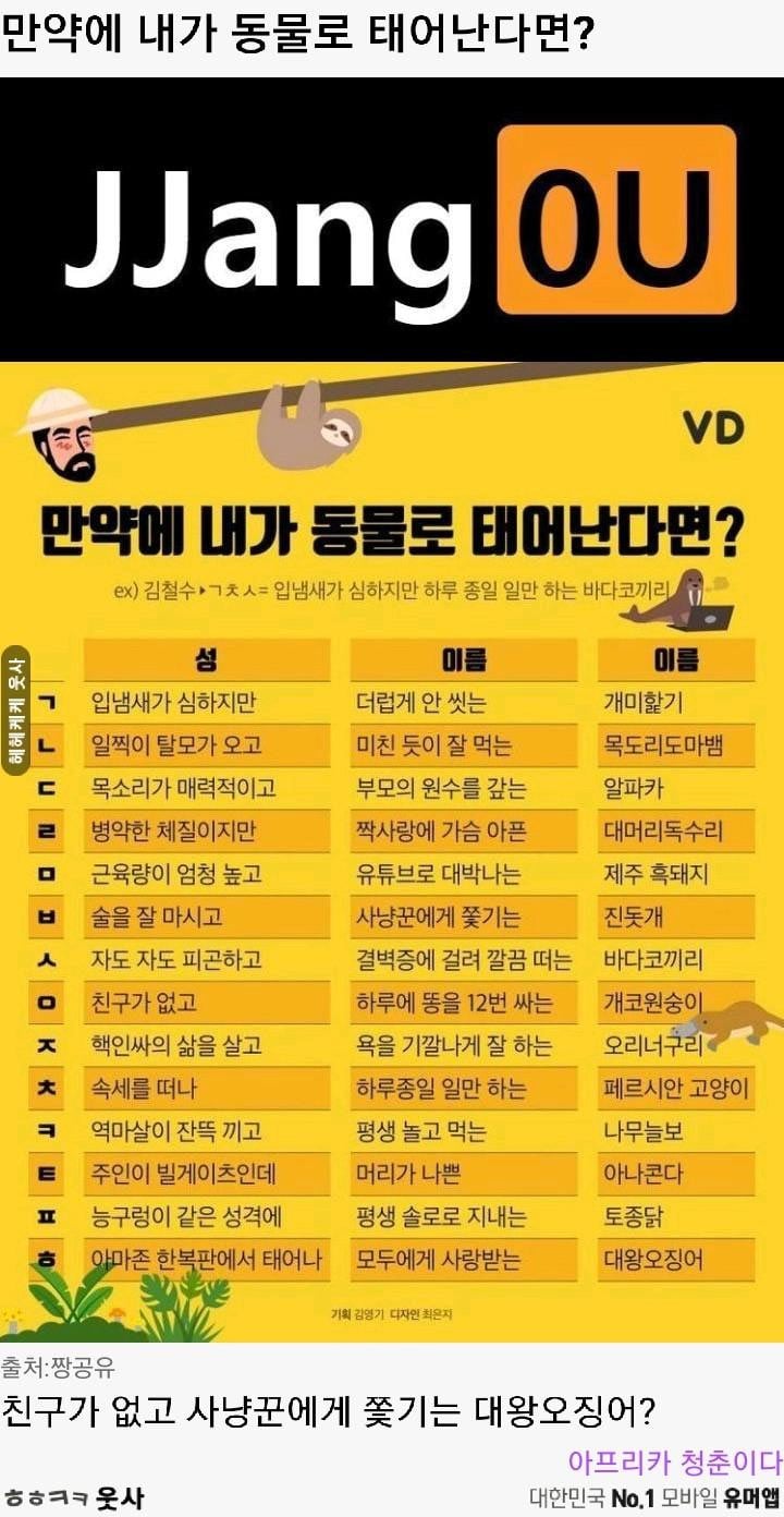 내가 동물로 태어난다면? | 인스티즈