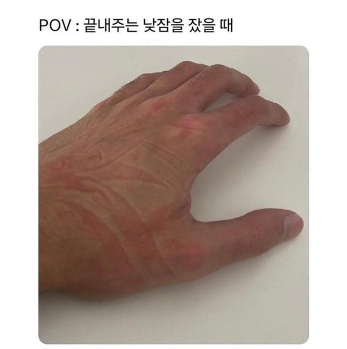 끝내주는 낮잠을 잤을때 | 인스티즈