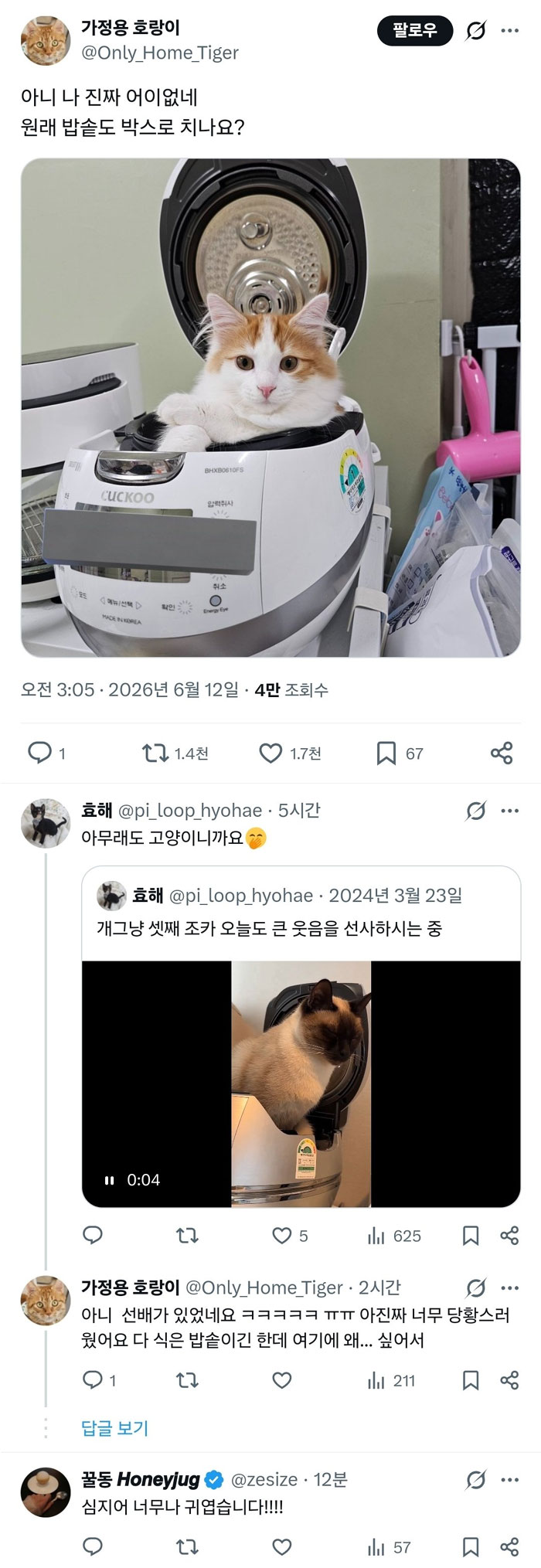 밥솥도 박스인가요? | 인스티즈