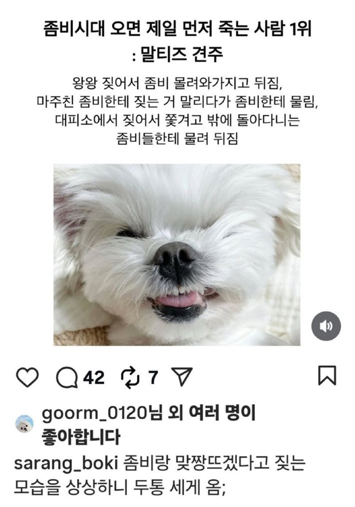 좀비시대 오면 젤 먼저 죽는 사람 | 인스티즈
