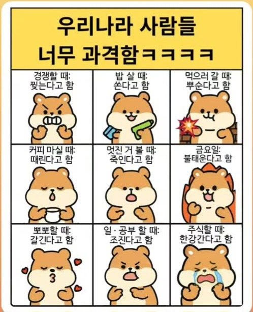 과격한 우리 나라 사람 | 인스티즈