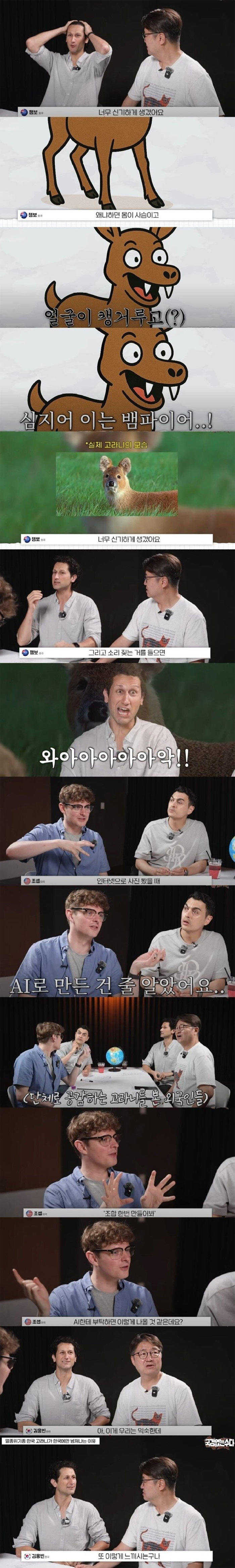 외국인들은 몰랐던 우리나라 동물 | 인스티즈