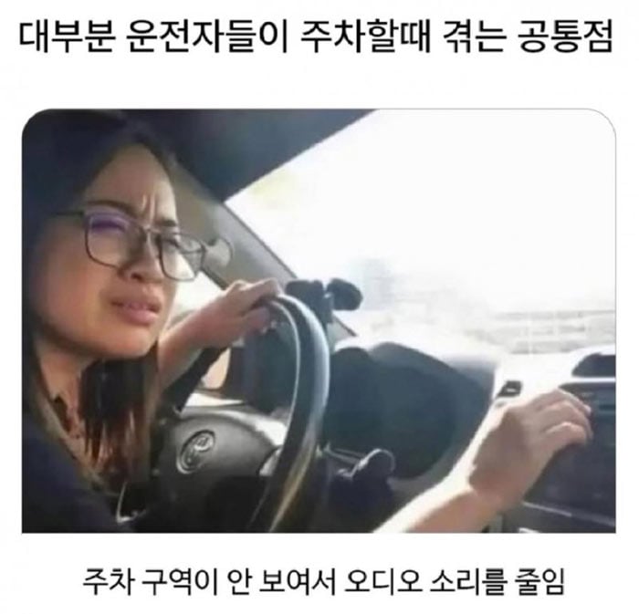 주차할 때 운전자들의 공통점 | 인스티즈