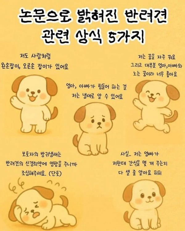 반려견 상식 5가지 | 인스티즈