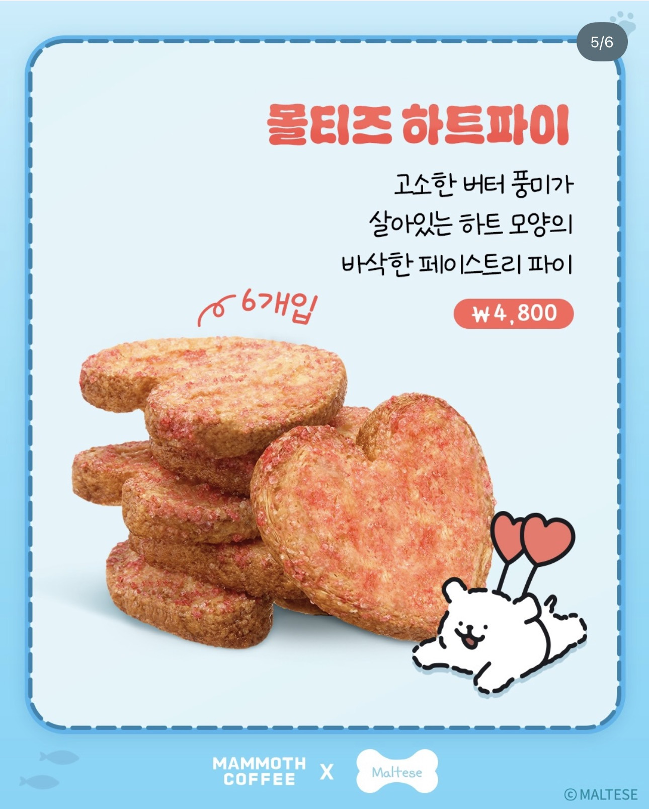 매머드커피 6/17 나온 신메뉴 | 인스티즈