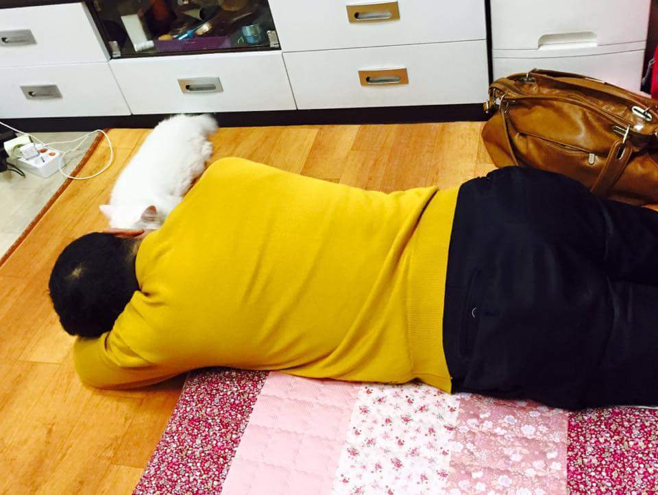 고양이 싫다던 아버지 | 인스티즈