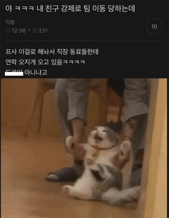 강제로 팀 이동 당한 친구 | 인스티즈