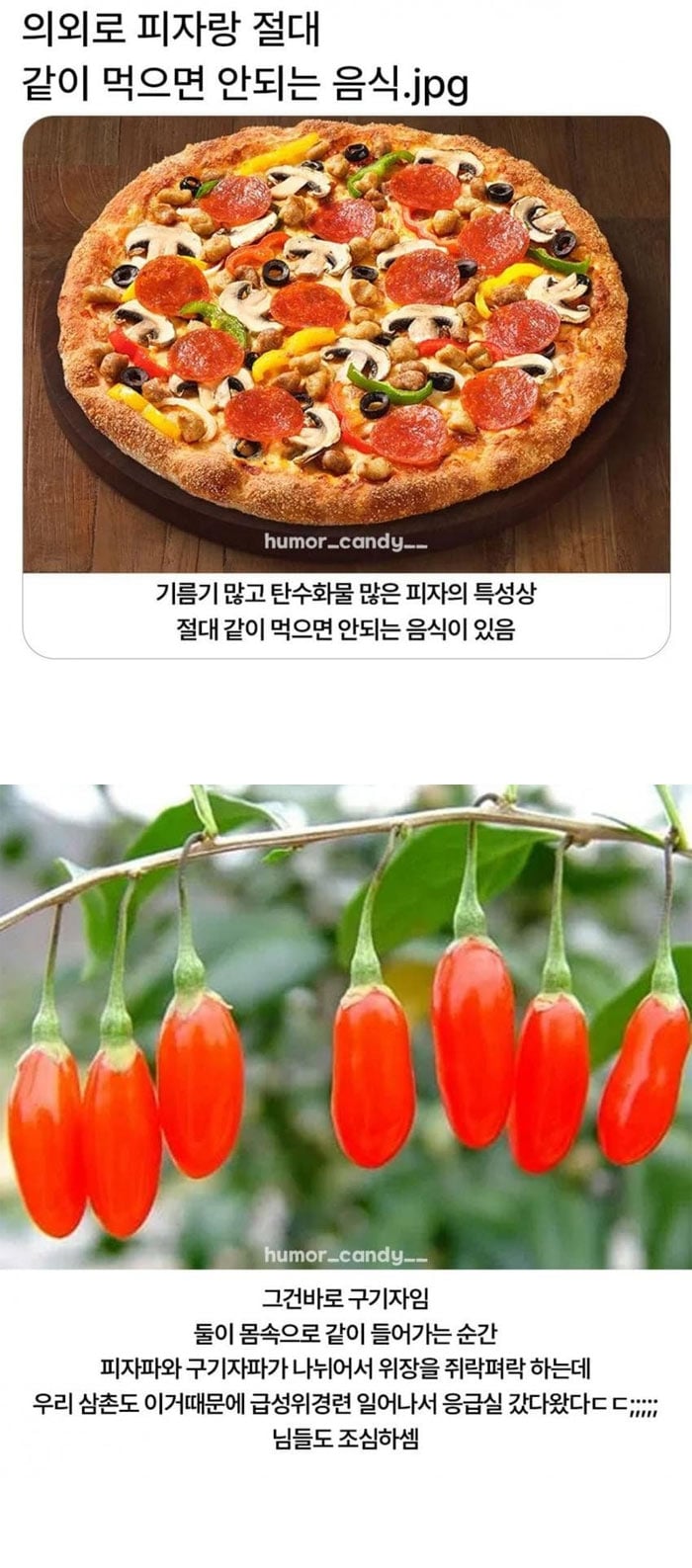 피자 먹을때 같이 먹으면 안되는 음식 | 인스티즈