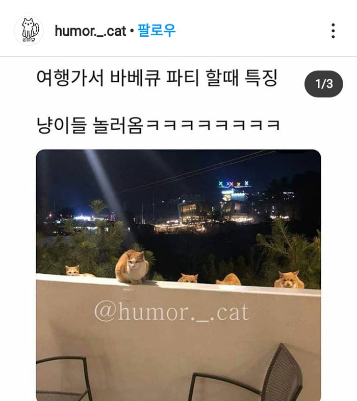 밖에서 바베큐를 하면? | 인스티즈