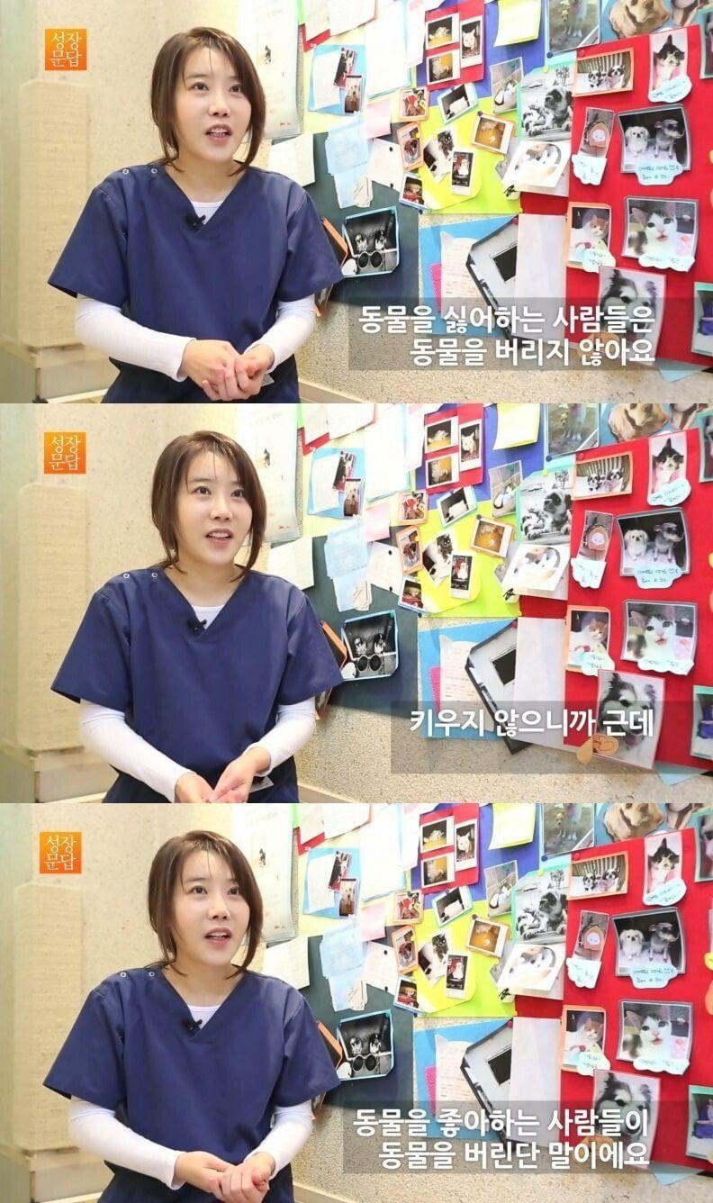 동물을 싫어하는 사람은 동물을 버리지 않아 | 인스티즈