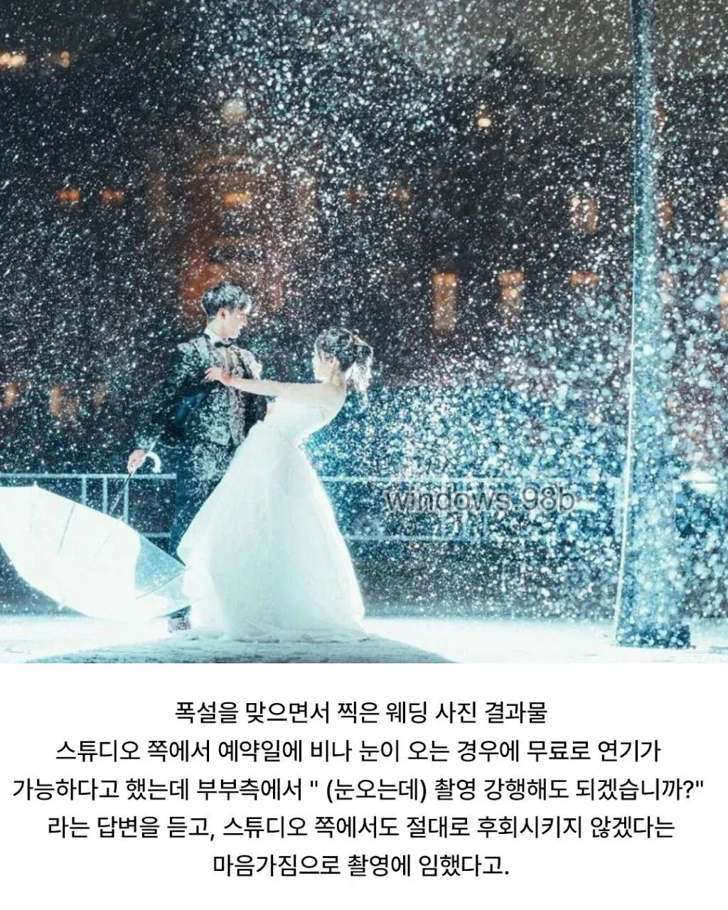 폭설에도 웨딩촬영 감행한 부부 | 인스티즈