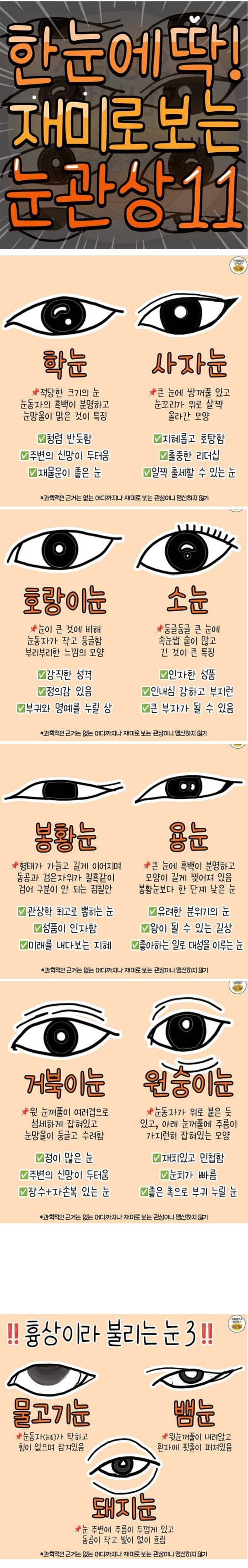 재미로 보는 눈 관상 | 인스티즈