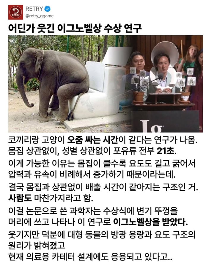 코끼리랑 고양이 오줌싸는 시간 | 인스티즈