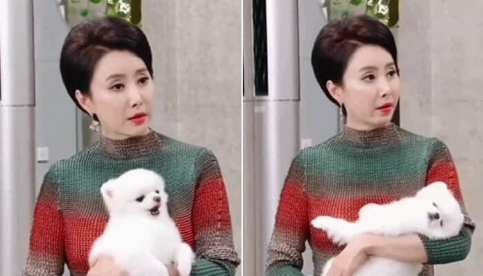 대한민국 6대 방송태도 논란.jpg | 인스티즈