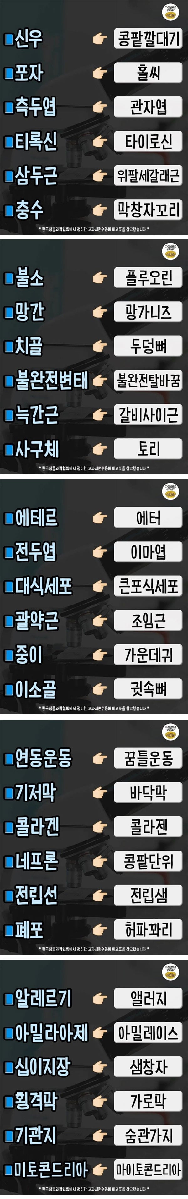 요즘 과학용어 | 인스티즈