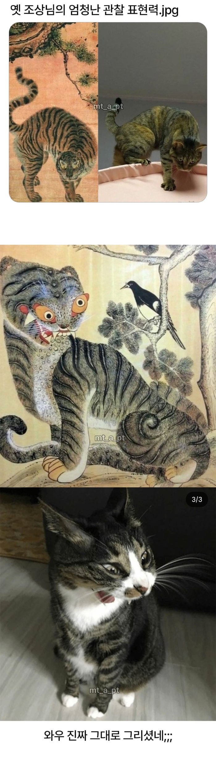 조상님의 엄청난 관찰력 | 인스티즈