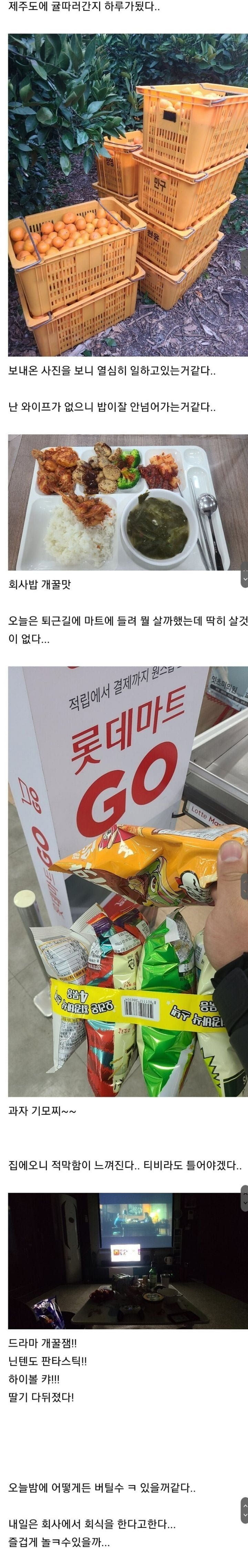 와이프가 여행을 갔다 | 인스티즈