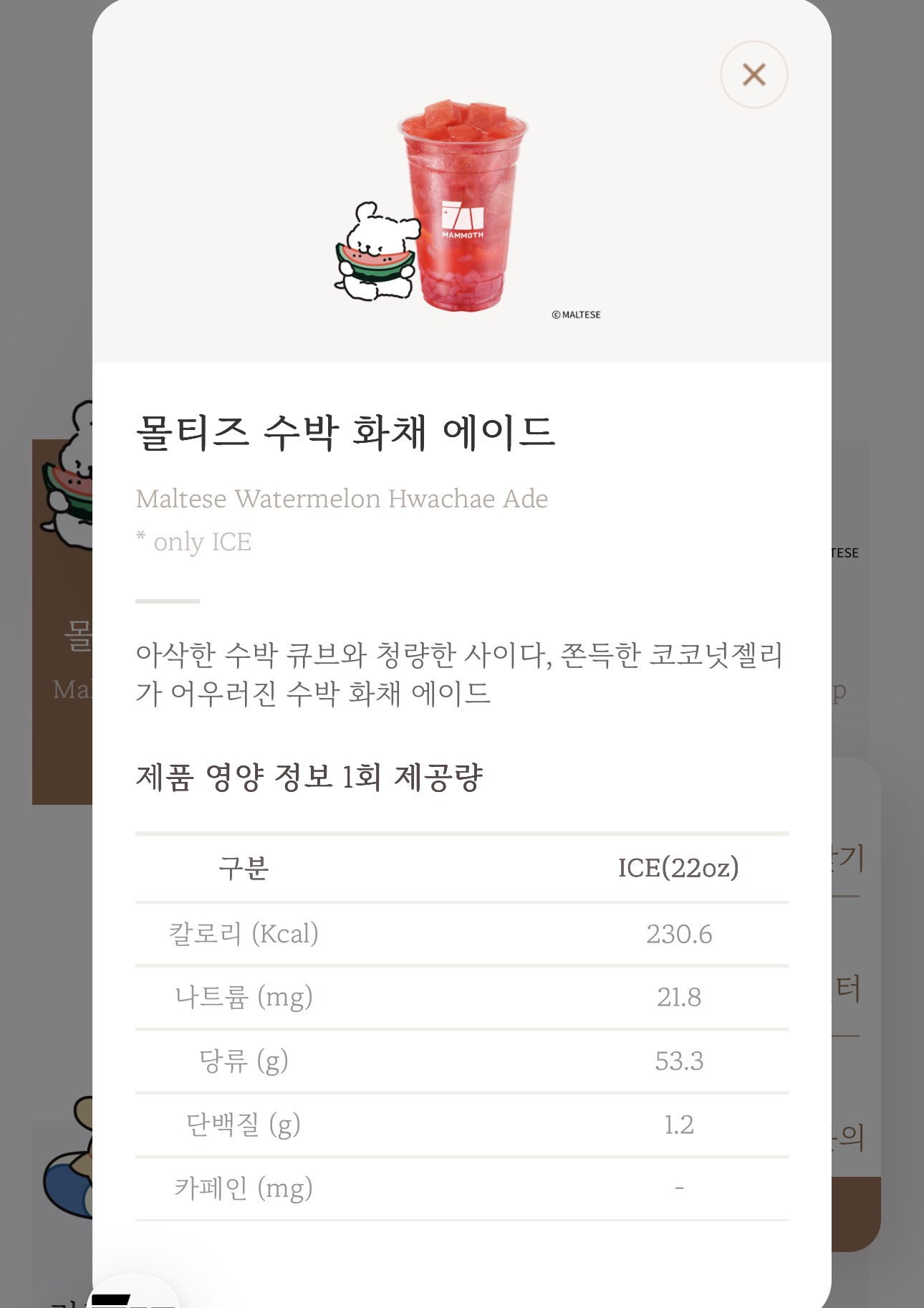 매머드커피 6/17 나온 신메뉴 | 인스티즈