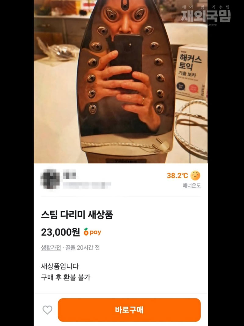 당근에 올라온 스팀 다리미 ㅎㅇㅈㅇ | 인스티즈