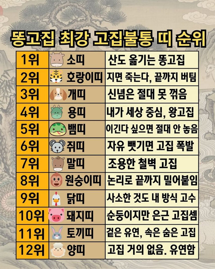 똥고집 모여라 | 인스티즈