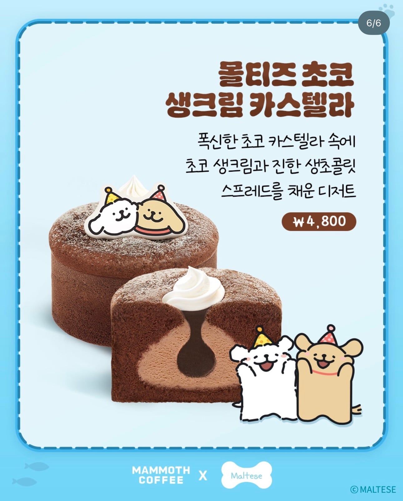 매머드커피 6/17 나온 신메뉴 | 인스티즈