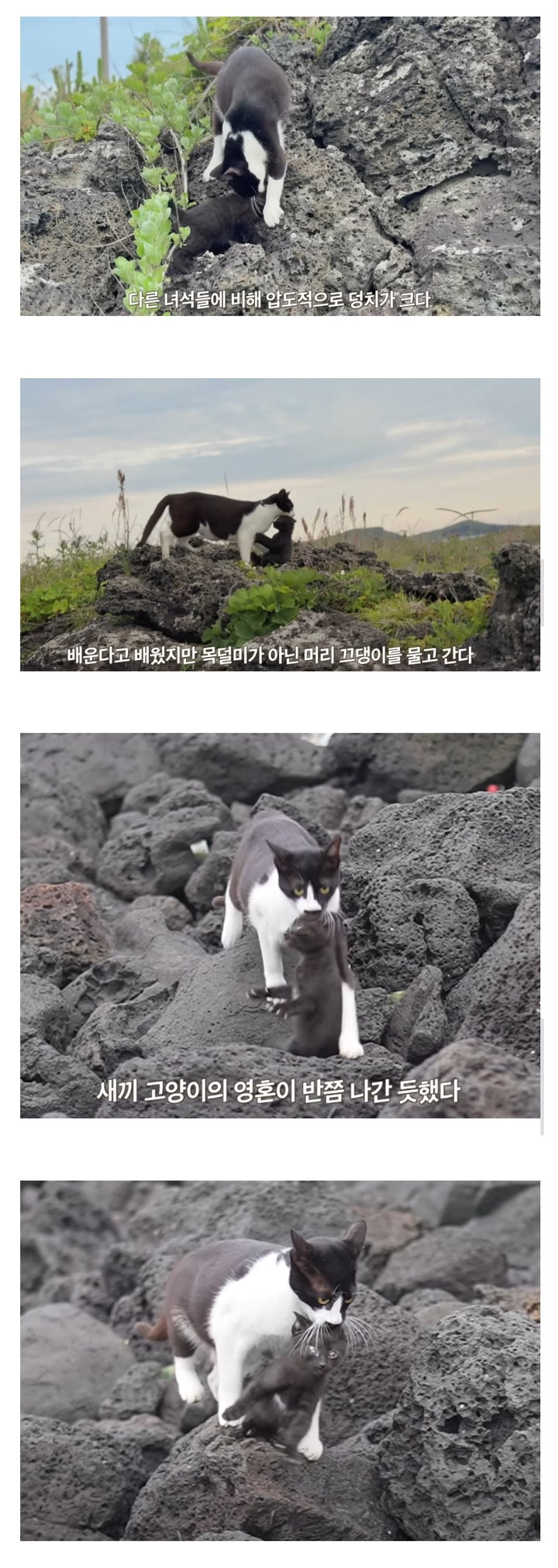 잘못 배운 육아 | 인스티즈