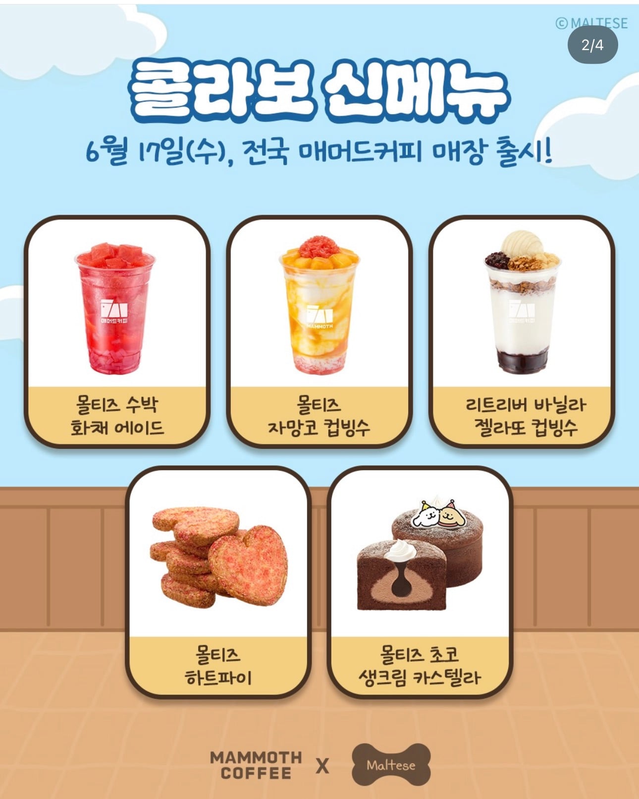 매머드커피 6/17 나온 신메뉴 | 인스티즈