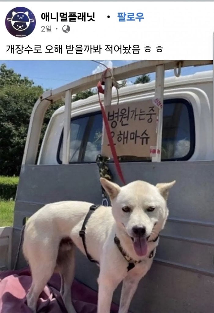 오해 받기 싫은 주인 | 인스티즈