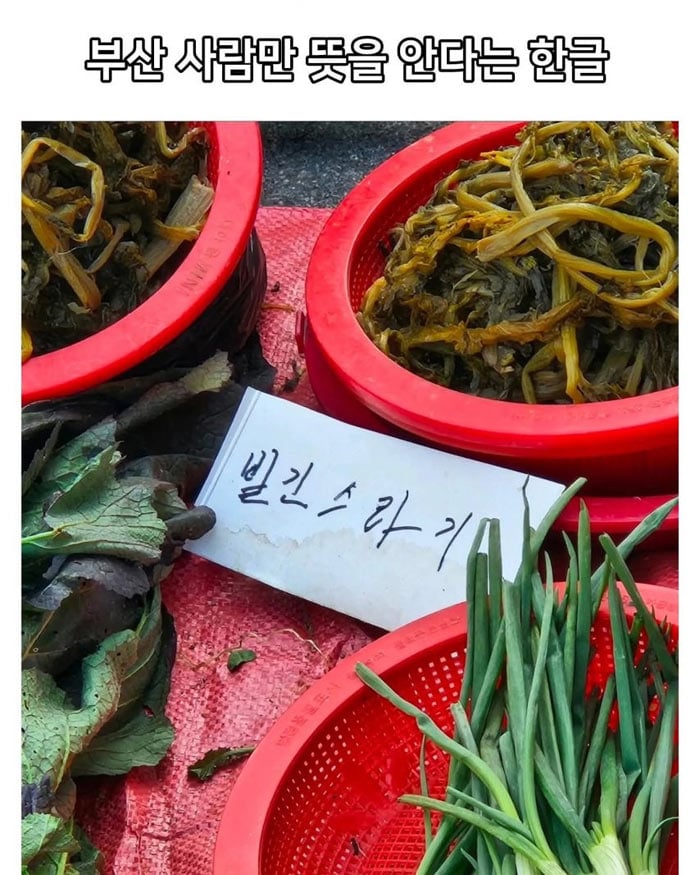 부산 사람만 안다는 한글 | 인스티즈