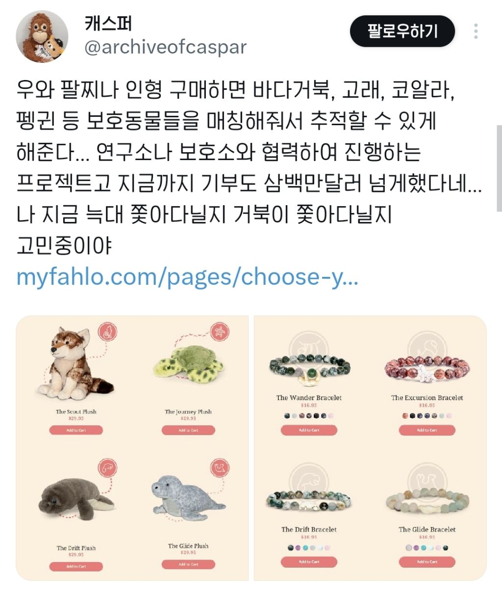 팔찌나 인형 구매하면 바다거북, 고래, 펭귄 등 보호동물들 매칭해줘서 추적할 수 있게 해줌 | 인스티즈