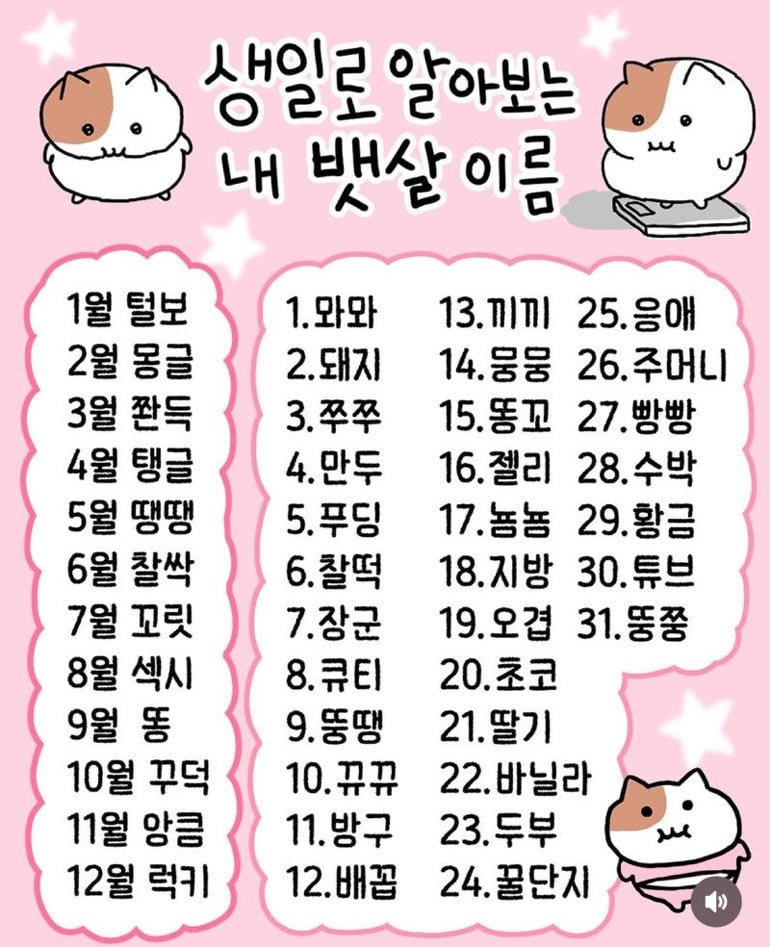 생일로 알아보는 나의 뱃살 이름 | 인스티즈