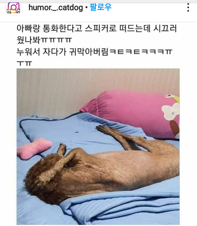 스피커폰으로 통화를 했더니 | 인스티즈